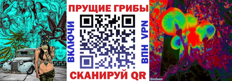 мега ССЫЛКА  Сибай  Псилоцибиновые грибы прущие грибы 